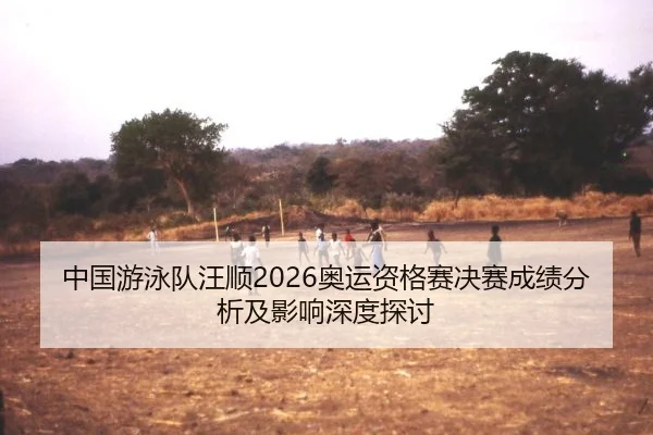 zhong-guo-you-yong-dui-wang-shun-ao-yun-zi-ge-sai-jue-sai-cheng-ji-fen-xi-ji-ying-xiang-shen-du-tan-tao-2-635.jpg